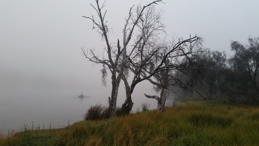 MoMo Creative rowing in the mist